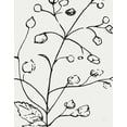 thumbnail image 2 of Jill, Susan 15x18 Gold Ornate Wood Framed with Double Matting Museum Art Print Titled - Botanical Sketch I, 2 of 4