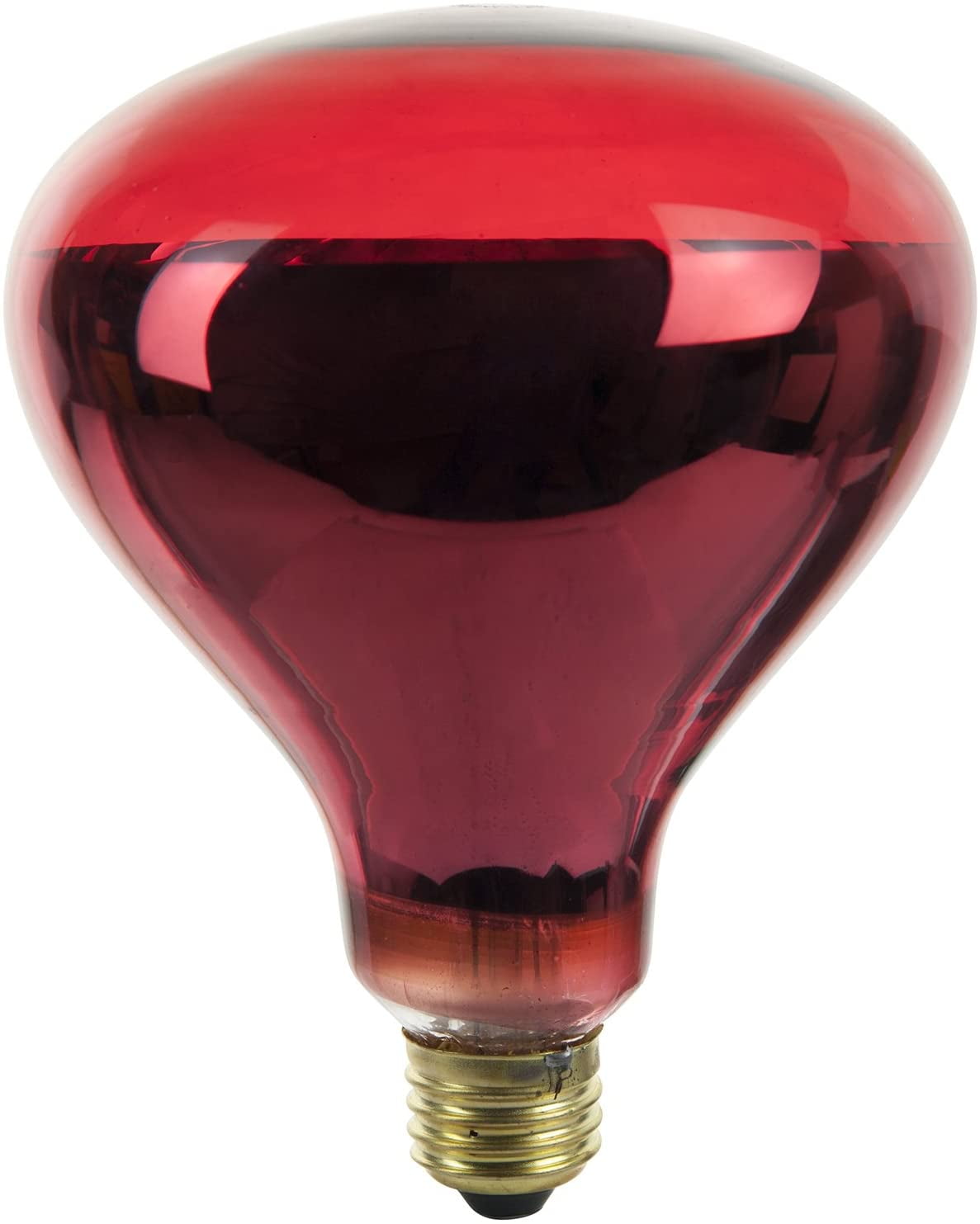 Heat Lamp Walmart - Wedding Ideas You have Never Seen Before