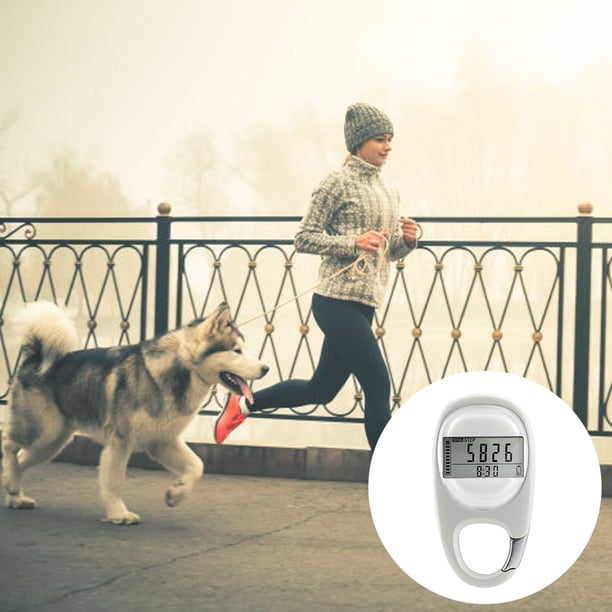 Simple 3D Digital Pedometer Portable Walking Step Counter with ...