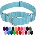 thumbnail image 1 of Collier pour Chien Martingale en Nylon Robuste - (1 Pouce de Largeur, Grand), 1 of 5