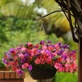 thumbnail image 3 of Easy Wave Spreading Petunia South Beach Garden Flower Mix - 30 Seeds, 3 of 3