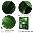 thumbnail image 3 of Designart "Embracing Exotic Palmscape In Emerald Hues II" Palms & Palm Trees Floater Framed Canvas Prints, 3 of 5