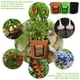 thumbnail image 2 of Cateissary Cubo de cultivo de patatas de fieltro, bolsas para plantar con ventanas, cebolla, verduras, invernadero, herramientas de jardinería Jardín y Patio color camello, 2 of 6