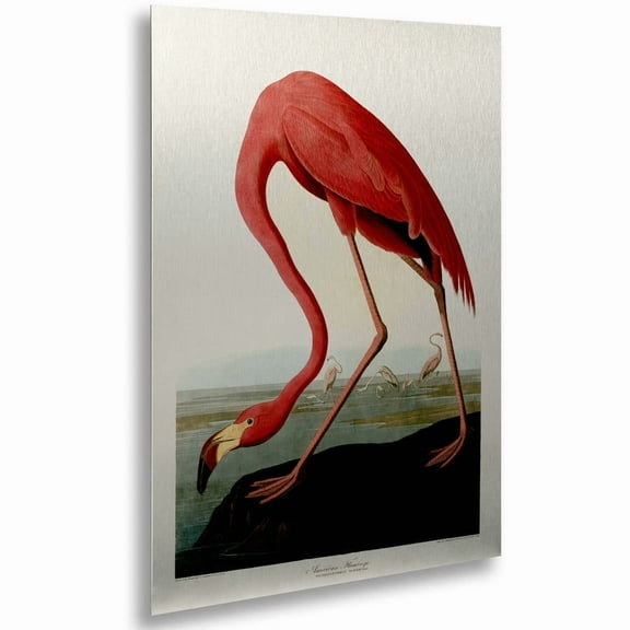 John James Audubon 'American Flamingo' Floating Brushed Aluminum Art