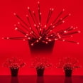 thumbnail image 4 of Wintergreen Lighting LED Starburst 5mm Starlight Christmas Lights, Light Balls, Lighted Branches, 15in Red Branches/Red Twinkle Lights, Set of 3, 4 of 4