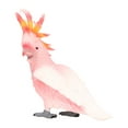 thumbnail image 1 of Figura de modelo de pájaro, figura de modelo de pájaro simulado, modelo de pájaro simulado, modelo de animal de pájaro, resistente y resistente, 1 of 9