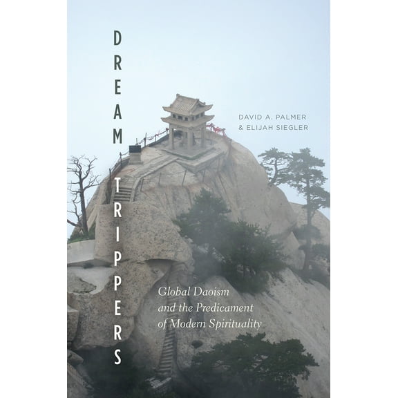 Dream Trippers : Global Daoism and the Predicament of Modern Spirituality (Paperback)