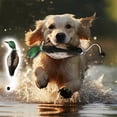 thumbnail image 3 of Dead Duck Dummy Bumper for Outdoor Training Waterfowl Retriever, 3 of 5