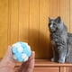 thumbnail image 4 of KAKOWELY 3 pelotas de juguete para gatos con cascabeles interiores, juguetes interactivos peludos para gatos, pelotas de colores, 4 of 5