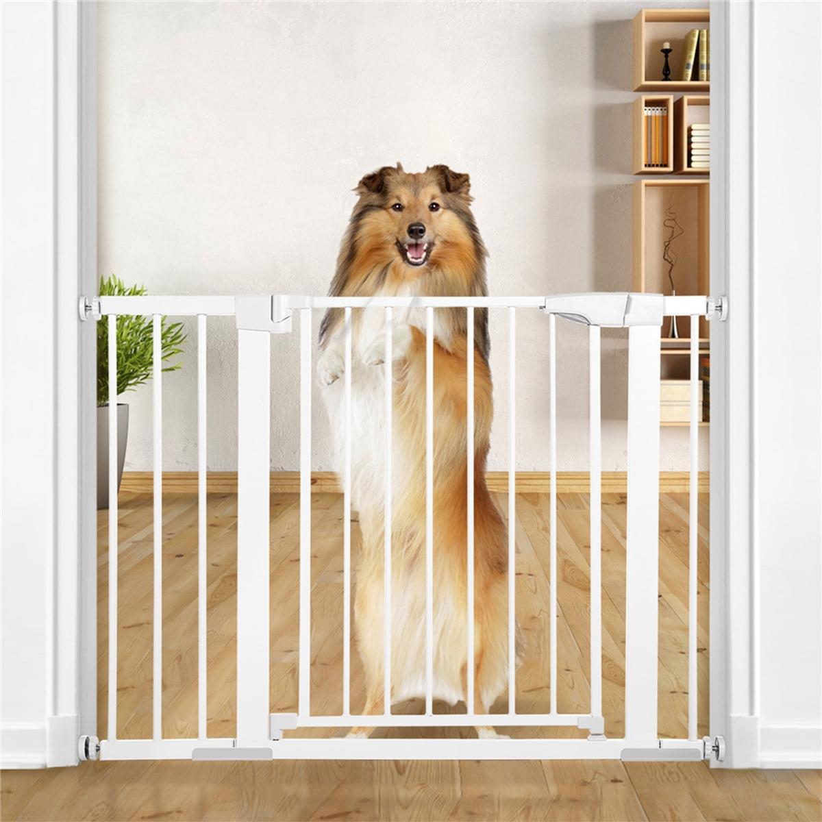 best walk through dog gate