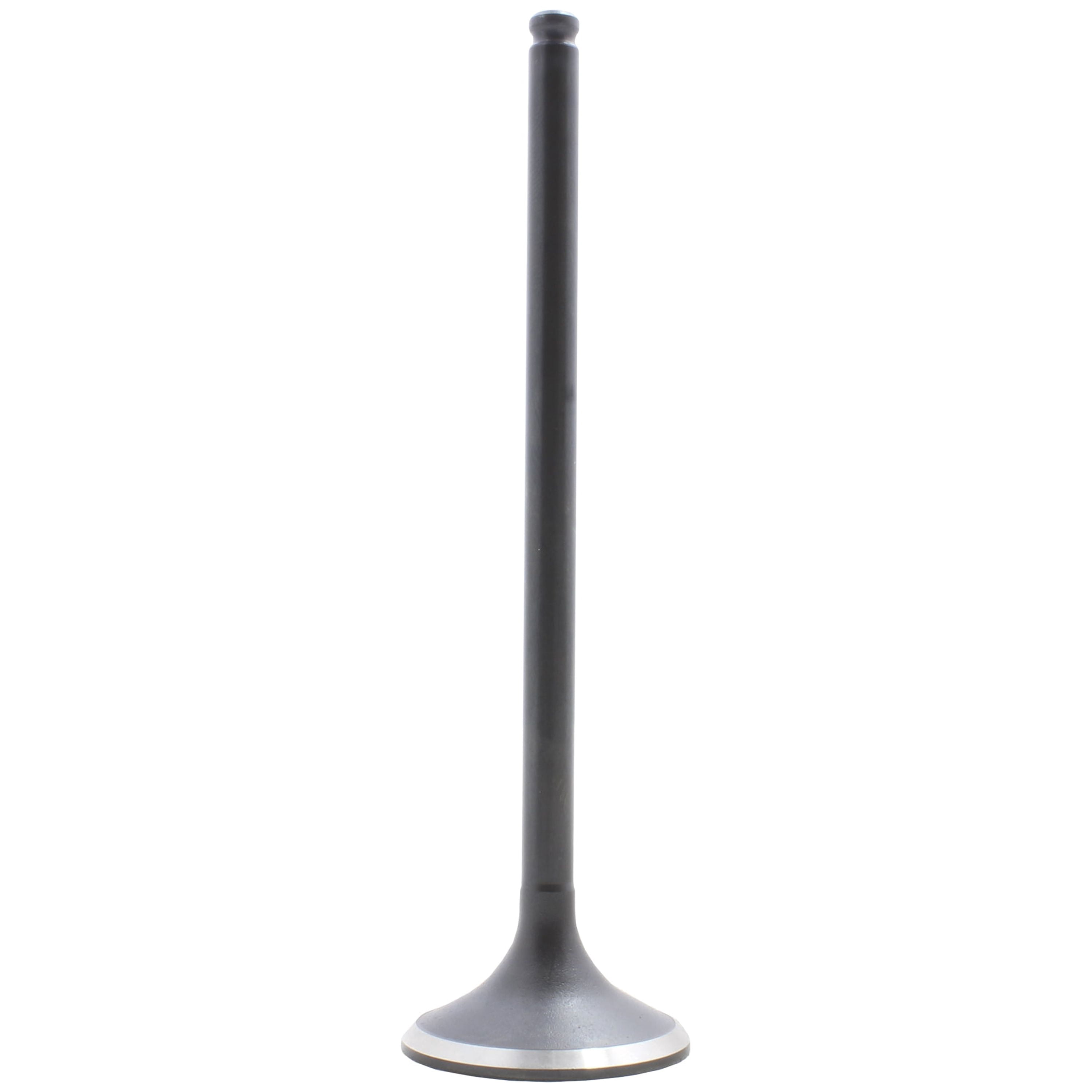 DNJ EV216 Exhaust Valve Fits Cars & Trucks 02-12 Acura Honda Accord Civic 2.0L-2.4L L4 DOHC 16v