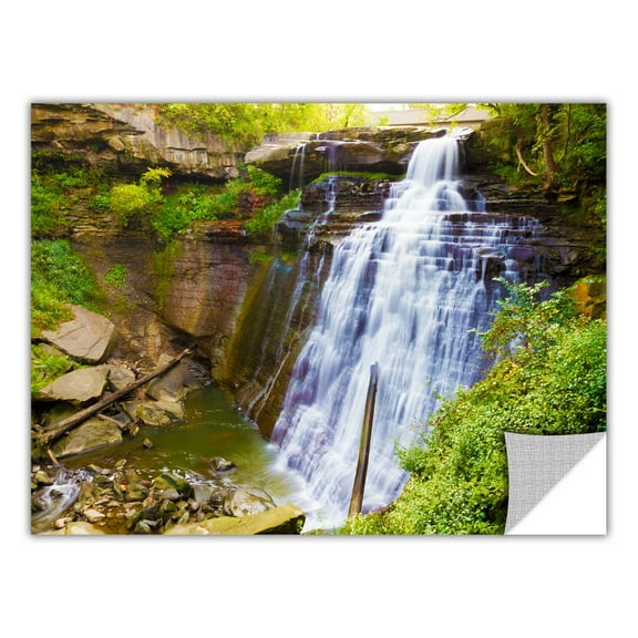 Cody York "Brandywine Falls 2" Removable Wall Art Graphic