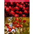 thumbnail image 6 of TeeLux Rosehip Hibiscus Tea Bags, Slight Tart Taste & Fruity Flavor, Caffeine Free, 60 Count, 6 of 8
