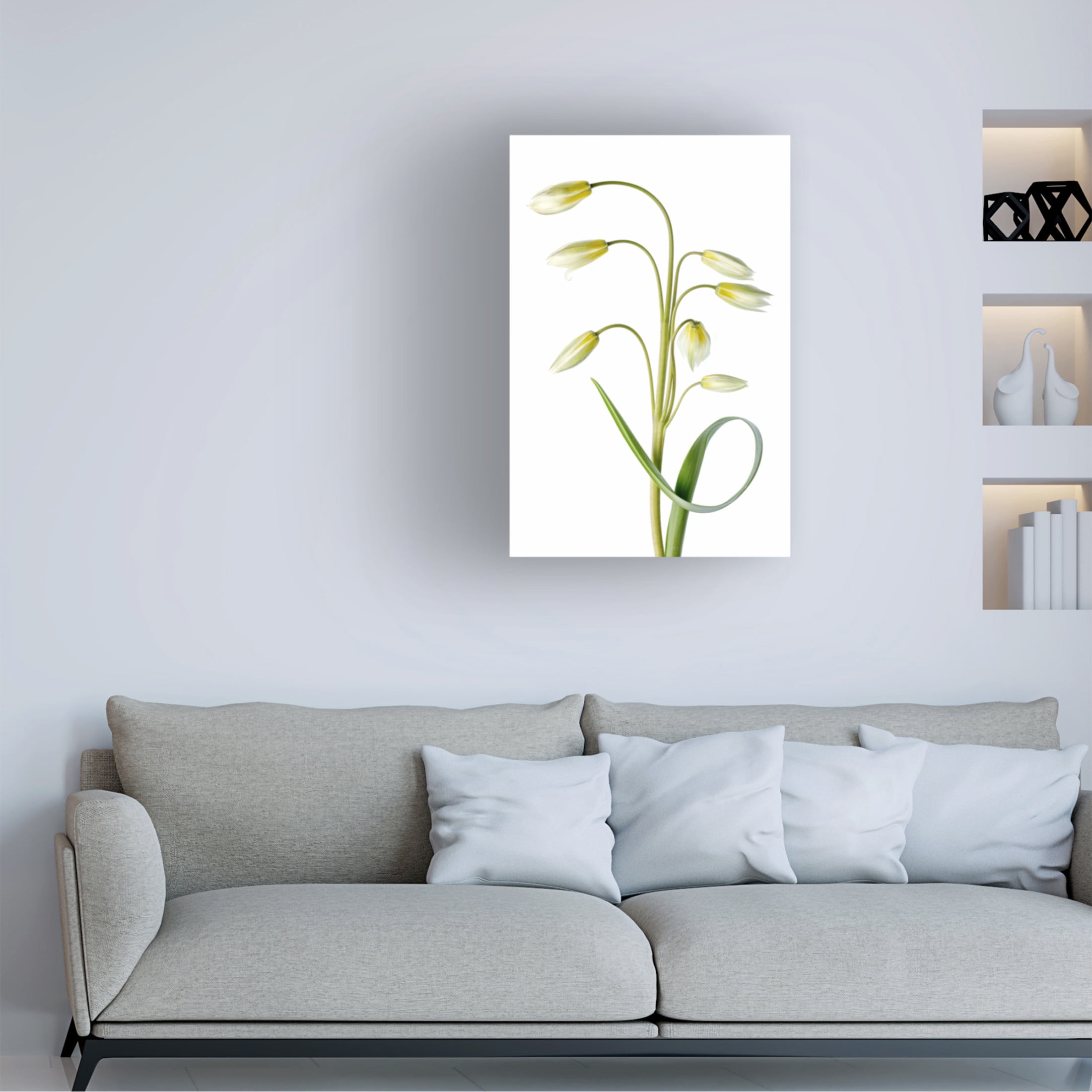 Canvas Wall Art - Mandy Disher 'Tulipa Tarda' Wall Art for Living Room, Bedroom, or Office Décor by Trademark Fine Art - 30 x 47 Inches