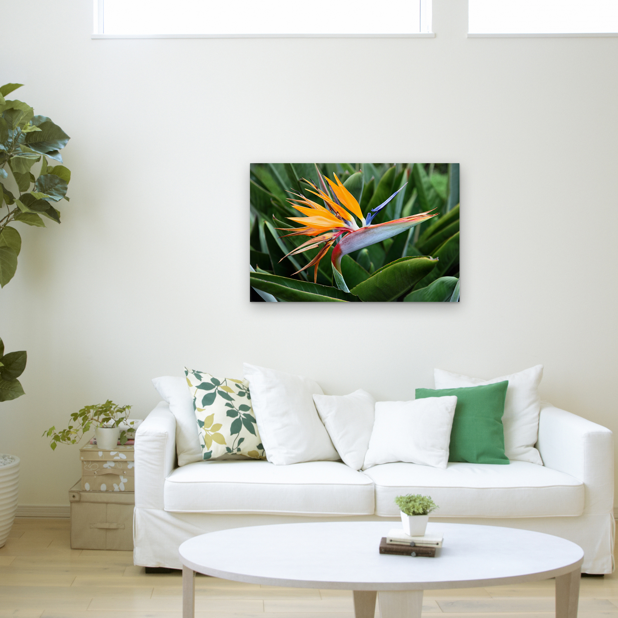Pierre Leclerc 'Bird of Paradise' Canvas Art