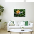 thumbnail image 4 of Pierre Leclerc 'Bird of Paradise' Canvas Art, 4 of 4