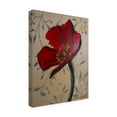 thumbnail image 2 of Trademark Fine Art 'Single Red Poppy' Canvas Art by Cherie Roe Dirksen, 2 of 3