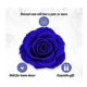 thumbnail image 3 of Preserved Real Rose,gift Box With I Love You Necklace,handmade Eternal Real Rose Flower Gifts For Her Woman Wife Girlfriend Mother On Birthday, 3 of 5