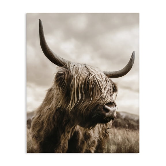 Stupell Industries Highland Cow on Windswept Moor Canvas Wall Art, design by CAD Designs