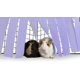 thumbnail image 4 of Escondite de forro polar en esquina para cobayas, hurones, chinchillas, erizos, conejos enanos y otras mascotas pequeñas - Accesorios y juguetes MFZFUKR WRQX-131-4, 4 of 6