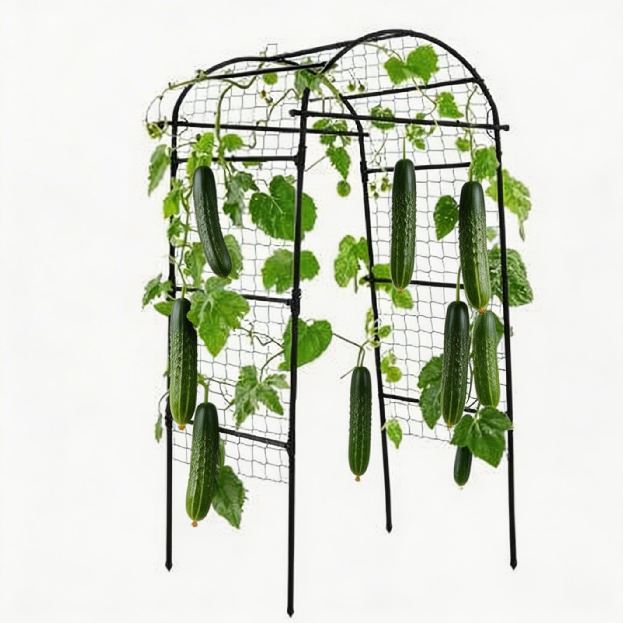 Garden Arch Trellis for Raised Beds, 6.8x3x2.6FT Plant Support for Cucumbers, Melons, Grapes, Roses & Climbing Vegetables, Outdoor Rust-Resistant Trellis for Vertical Growing, Black