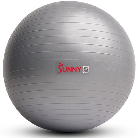 Sunny Health & Fitness Premium Yoga Ball Small 55CM Anti-Burst Exercise Ball for Workouts, Pregnancy, Physical Therapy, Stability Ball Chair Fitness, Extra Thick Yoga Ball with Pump - SF-EB02-S