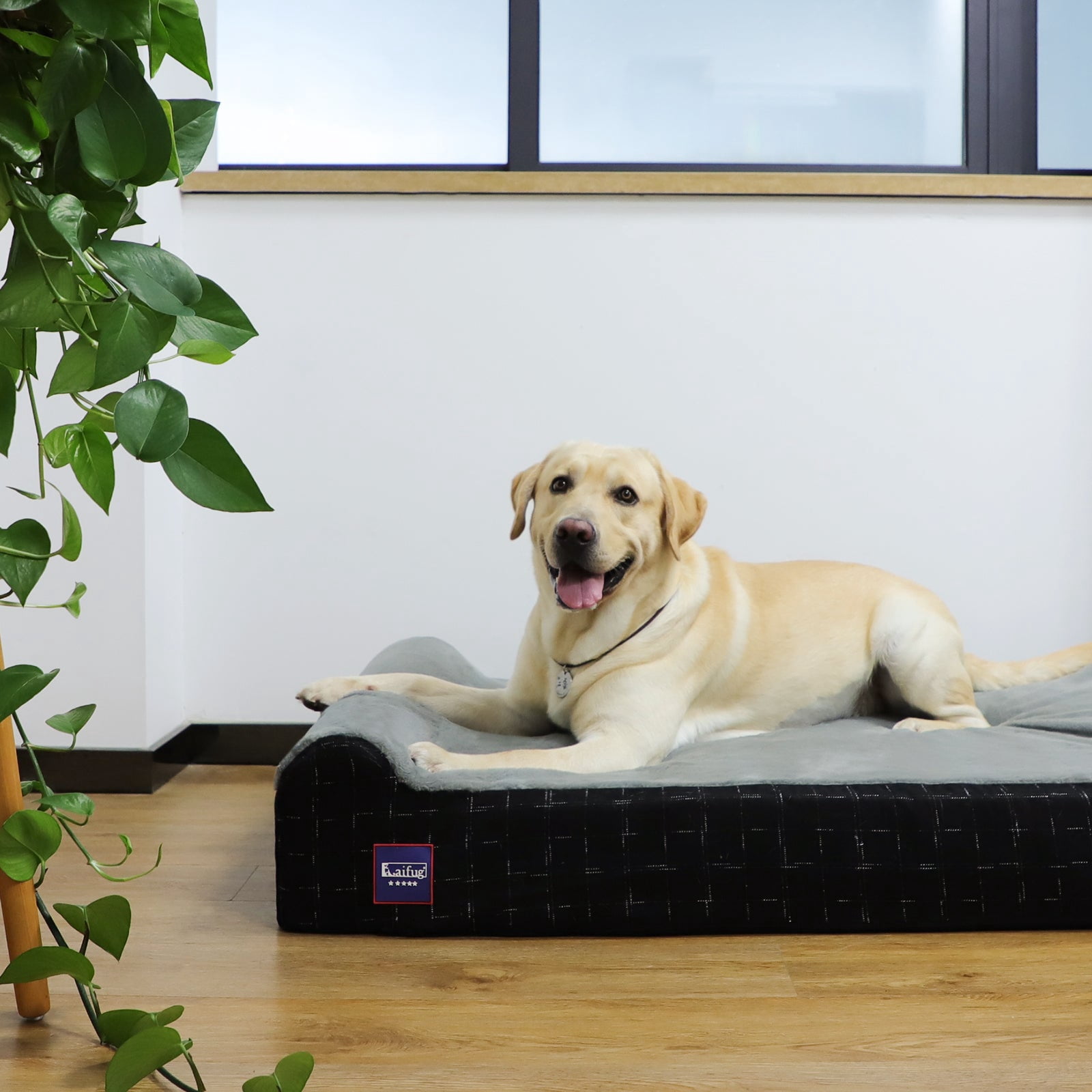 Laifug Extra Large Dog Bed with Orthopedic Memory Foam, Dog Pillow, Waterproof Liner & Washable Cover (Gray)