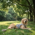 thumbnail image 6 of Dog Cooling Vest Dog Harness Cooler Jacket Adjustable Summer Clothing, for Walking Dog, Outdoor Camping and Hunting Training,Yellow,L, 6 of 6