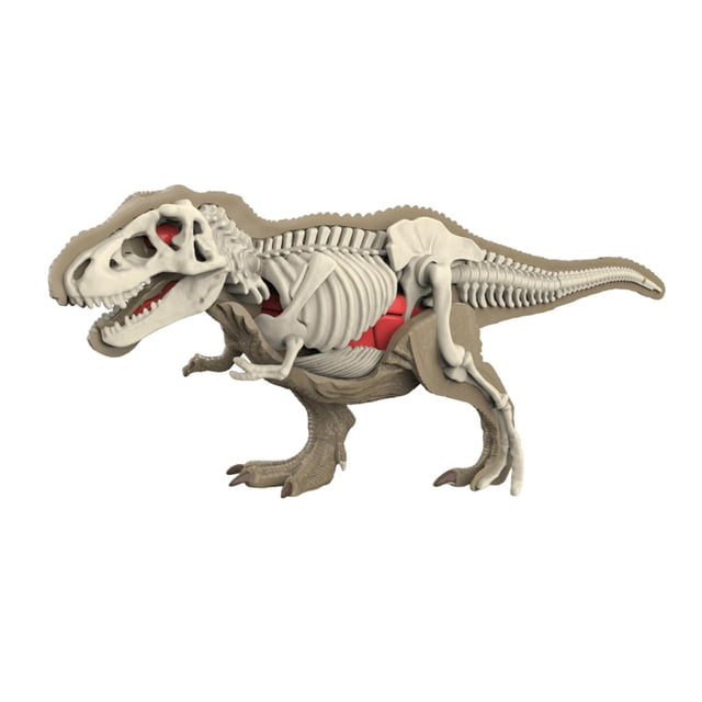 jiaping Animal Body Model Classroom Body Organ Parts for Study Tool Ages 8+ Children 3101