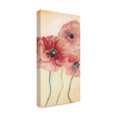 thumbnail image 2 of Trademark Fine Art 'Poppy Composition I' Canvas Art by Natasha Chabot, 2 of 4