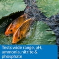 thumbnail image 4 of API Pond Master Test Kit: Professional Water Testing Solution, 4 of 5