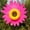Pink, variant on Wind Mill for Yard and Garden,Garden Party Decor,Sunflower Yard Pinwheels, Wind Spinners Large Windmill Pinwheels for Garden, 360° Rotating Windmill Yard Art, Party Outdoor Decor(Yellow 14IN)