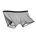 thumbnail image 2 of zeranth Men Sexy Transparent See-Through Mesh Shorts Panties Ultra-Thin Seamless Breathable Mid-rise Underpants, 2 of 7