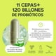 thumbnail image 5 of Suplemento Alimenticio 90 Cápsulas Inulina de Agave Lactobacilos Aloe Vera 120 Millones Probioticos, 5 of 7