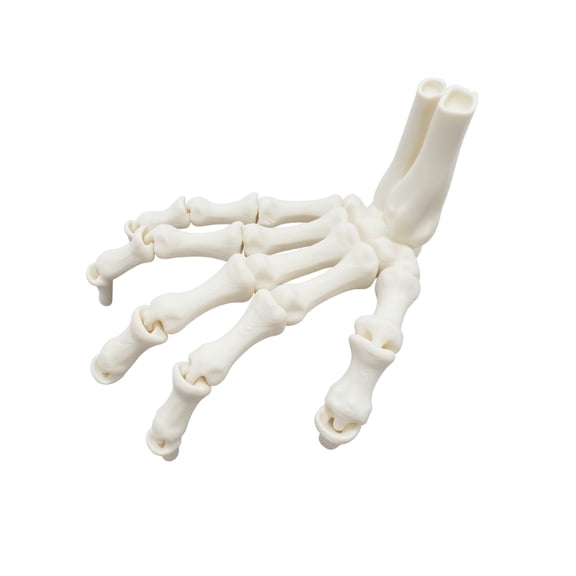 Halloween Skeleton Hand Decoration with Poseable Fingers and Wrist Bones, Creepy Plastic Skeleton Decor for Haunted House Party Table Centerpiece, Gothic Horror Birthday Gift 1