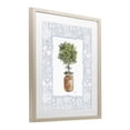 thumbnail image 2 of Stupell Industries Traditional Potted Topiary with Ribbon Birch Framed Print Under Glass, 17 x 21, by Carol Robinson, 2 of 8