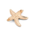 thumbnail image 2 of 3pcs Zinc Alloy Rhinestone Brooch Starfish 43.5x45.5mm, 2 of 2