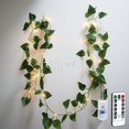 thumbnail image 3 of Guirnalda de luces LED con forma de hoja de hiedra y USB con mando a distancia, guirnalda para decoración del hogar y bodas, mini luces LED de cobre, 3 of 5