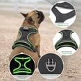 thumbnail image 3 of Chaleco de perro iluminado Vizbrite LED recargable para perros, 3 of 6