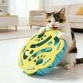 Interactive Cat Enrichment Maze Toy for Indoor Feline Mental ...