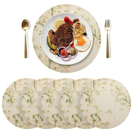

Round Placemats Plate Mats 15 Inch Non-Slip Heat Resistant Washable PVC Set Table Decoration for Kitchen Dining White Small Daisy