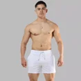 thumbnail image 4 of Short Casual Corte Medio Repelente Cuadros Hombre Fenix Fit., 4 of 5