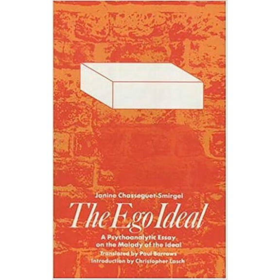 The Ego Ideal: A Psychoanalytic Essay on the Malady of the Ideal (Paperback)