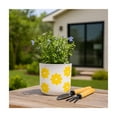 thumbnail image 2 of Decorative Flower Pots with Daisy Pattern for Home Decor - Indoor and Outdoor Plant Pot for Living Room, Garden, or Patio Decor - Planter for Office, Kitchen Counter, or Side Table - 6", White & Gold, 2 of 12