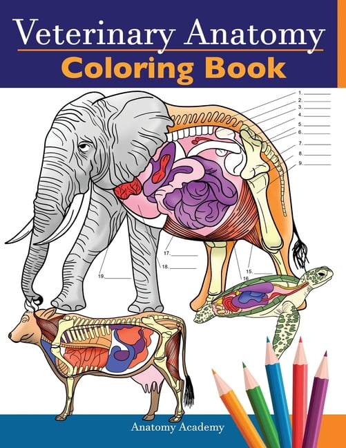 Download Veterinary Anatomy Coloring Book : Animals Physiology Self ...