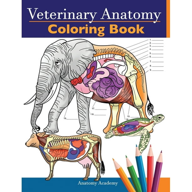 Veterinary Anatomy Coloring Book Animals Physiology SelfQuiz Color