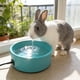 thumbnail image 5 of Cuenco de agua automático calefactado para perros 3.2L | Solución de hidratación para mascotas de invierno de 30W | Plástico Resistente a la Congelación | Gran Capacidad Verde | Uso del patio, 5 of 6