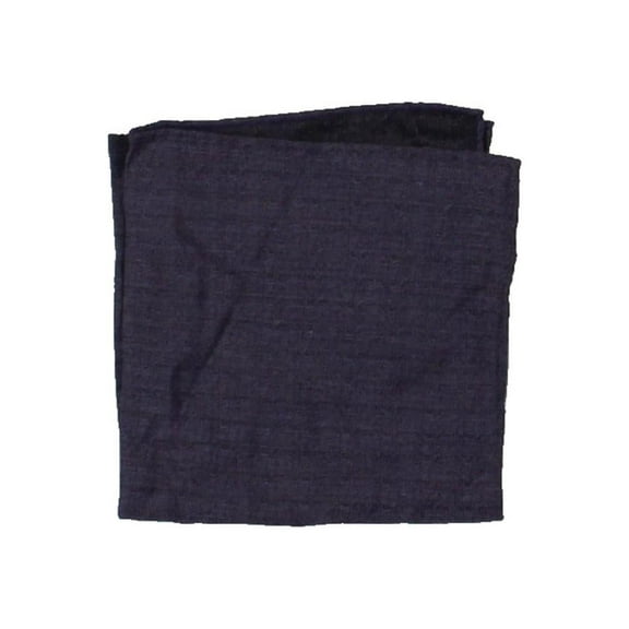 Ryan Seacrest Distinction Mens Tymon Silk Business Pocket Square
