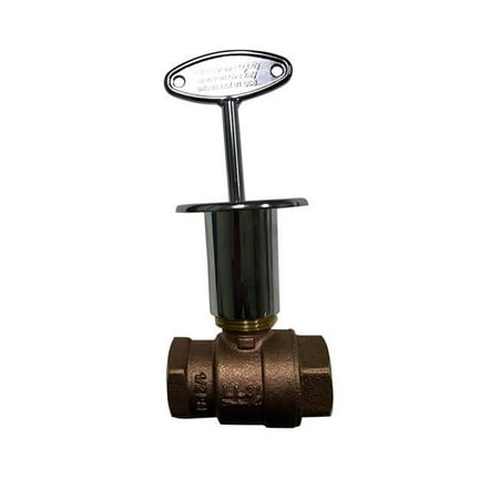 Blue Flame BVL3SCP 0.75 in. Fireplace & Fire Pit Quarter Turn Valve Kit,