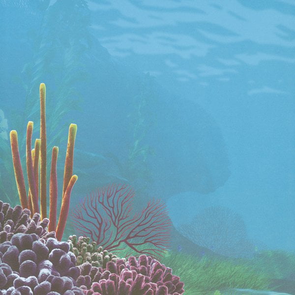 Disney Finding Nemo Paper 12"X12"-Underwater Left